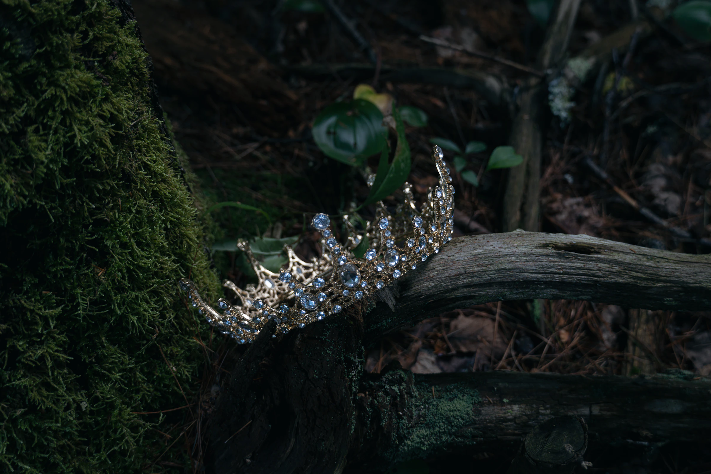 Sarah Penney_1792779079482_unsplash_id_-n7e3Lvuh8E.webp